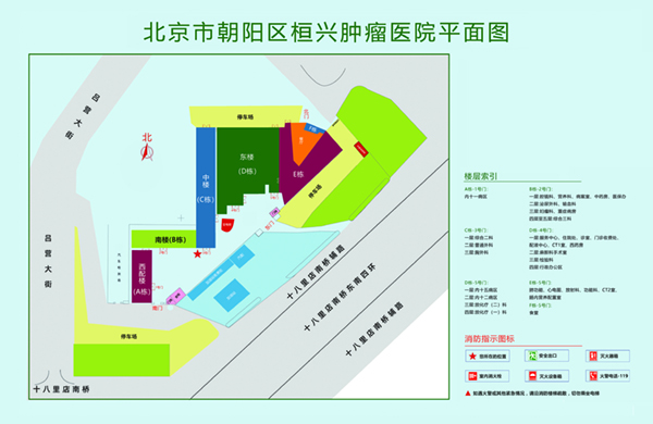 啊啊啊网站免费北京市朝阳区桓兴肿瘤医院平面图